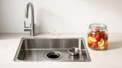 Kobaé in der Küche? So findest du den Brutplatz statt nur Fliegen zu jagen